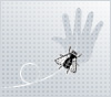 Insektenschutzrollo, Insektenschutzrollos , Vertikallamellen Sonderformen